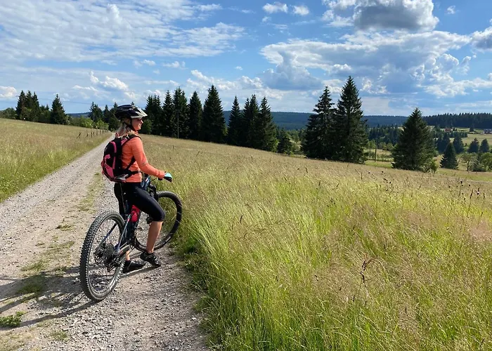 شقة Miky Klinovec Loučná pod Klínovcem