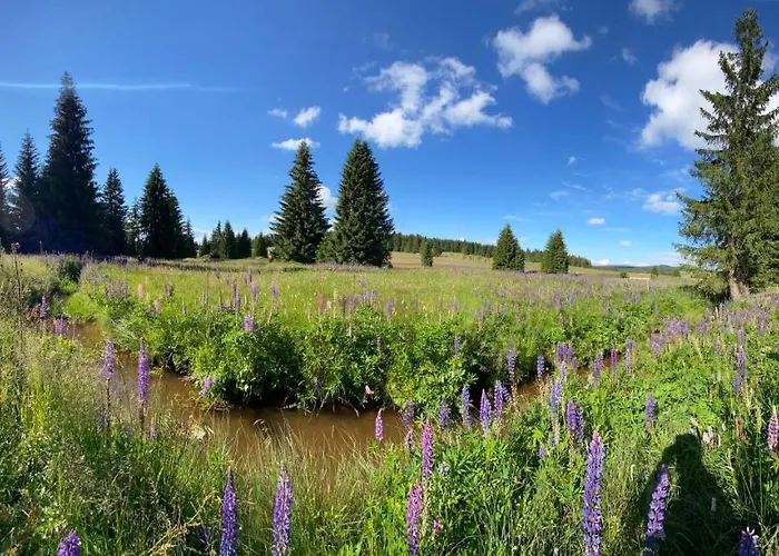 Miky Klinovec شقة Loučná pod Klínovcem